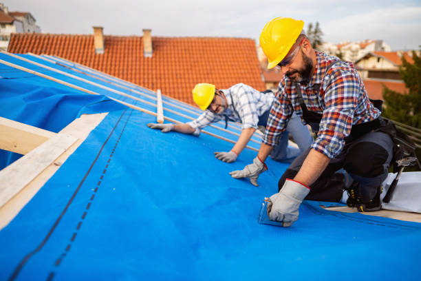 Best Rubber Roofing (EPDM, TPO)  in Brownsville, KY