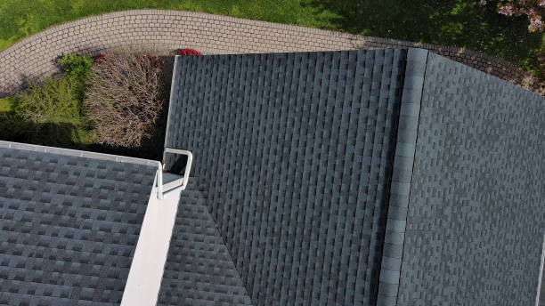 Best Roof Moss and Algae Removal  in Brownsville, KY